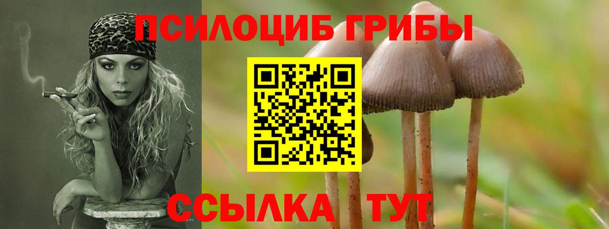 как найти наркотики  Псилоцибиновые грибы мицелий  Вход с VPN  Кирово-Чепецк 